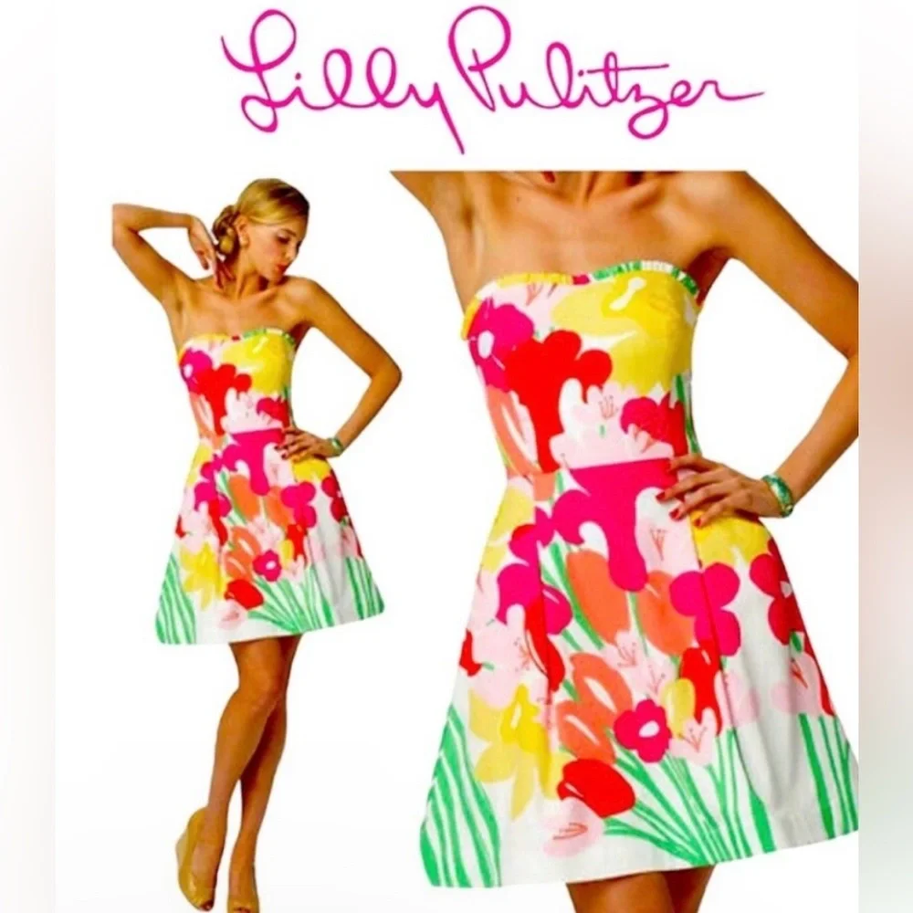 Lilly Pulitzer Summer Dress - Picture 2 of 14